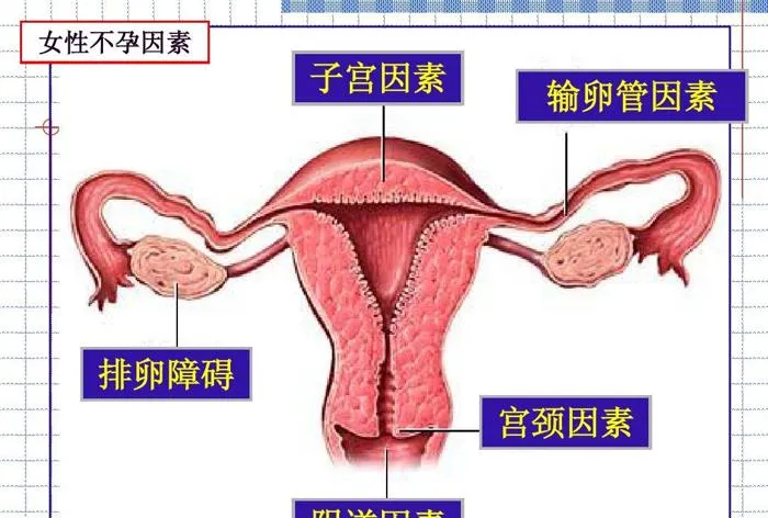 孩子身高达标吗？对比最新的1-12岁标准身高表，你是高还是矮，一目了然。