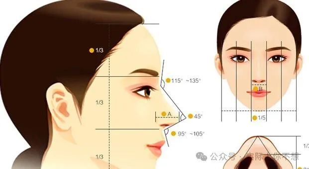 赵丽颖的直鼻太好看，3种常见鼻整型模板，你的脸型适合哪种？