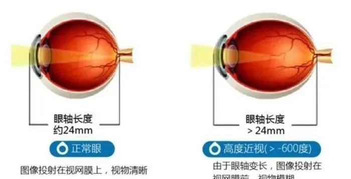 6个冷门增肌秘诀，助你加速爆发式生长