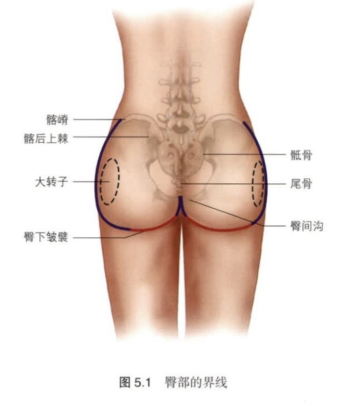 臀部注射玻尿酸的方法（臀部打玻尿酸需要多少）